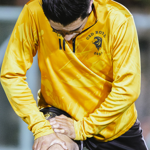 Poleron Deportivo Verano - Imagen 2